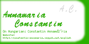 annamaria constantin business card